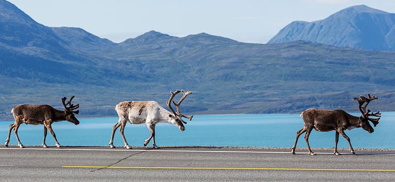Informazioni utili sulla Norvegia